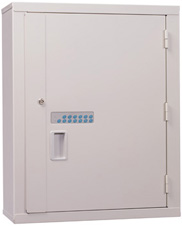 Lakeside High Security Storage Cabinet 